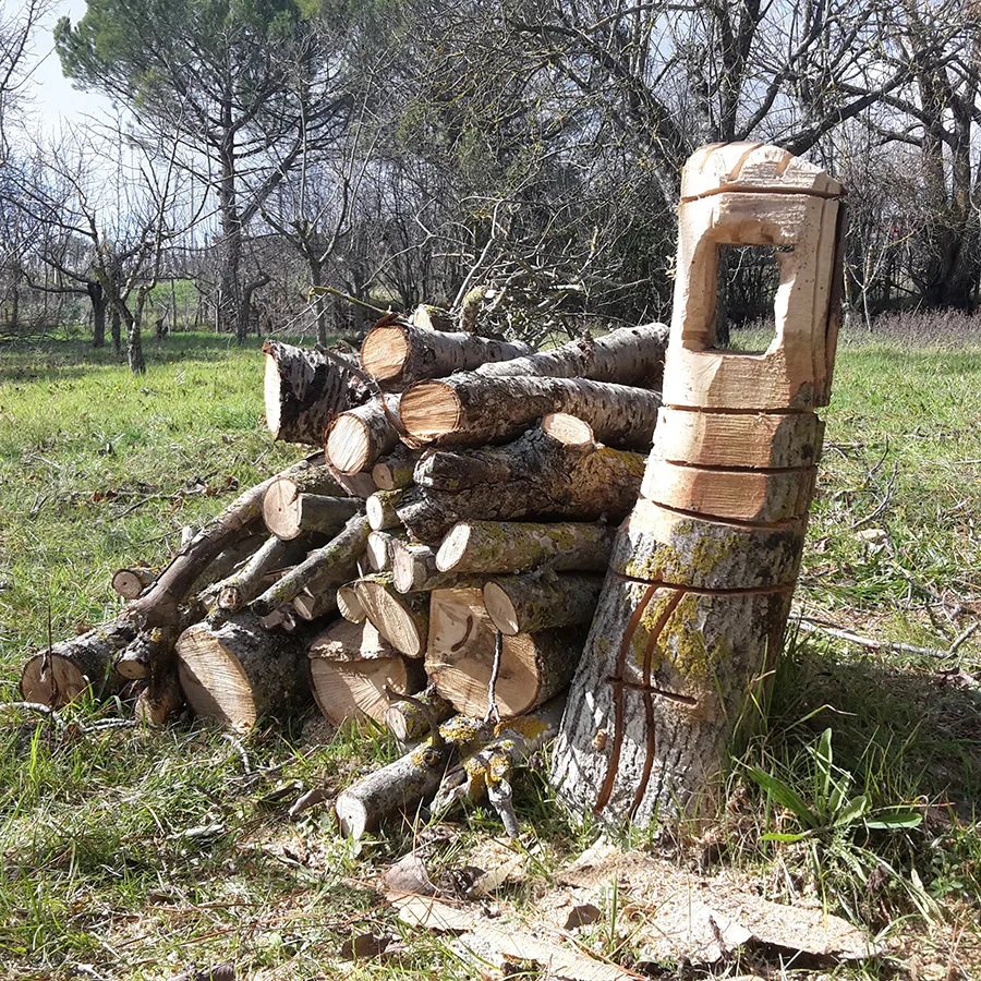 Catasta di legna con una scultura intagliata nel prato
