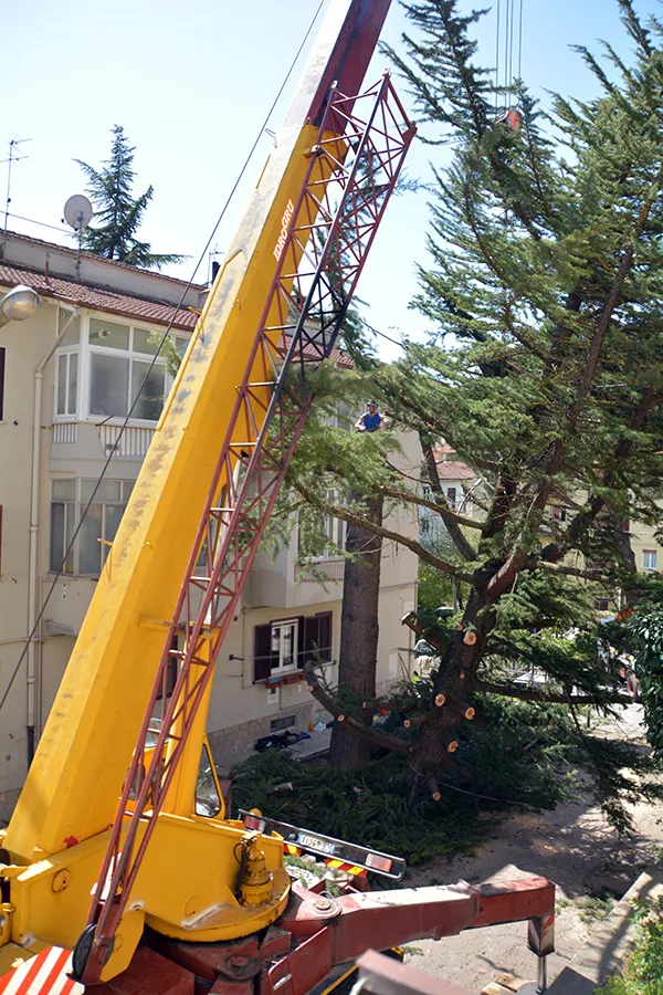 Smontaggio di una branca con autogrù tra le palazzine