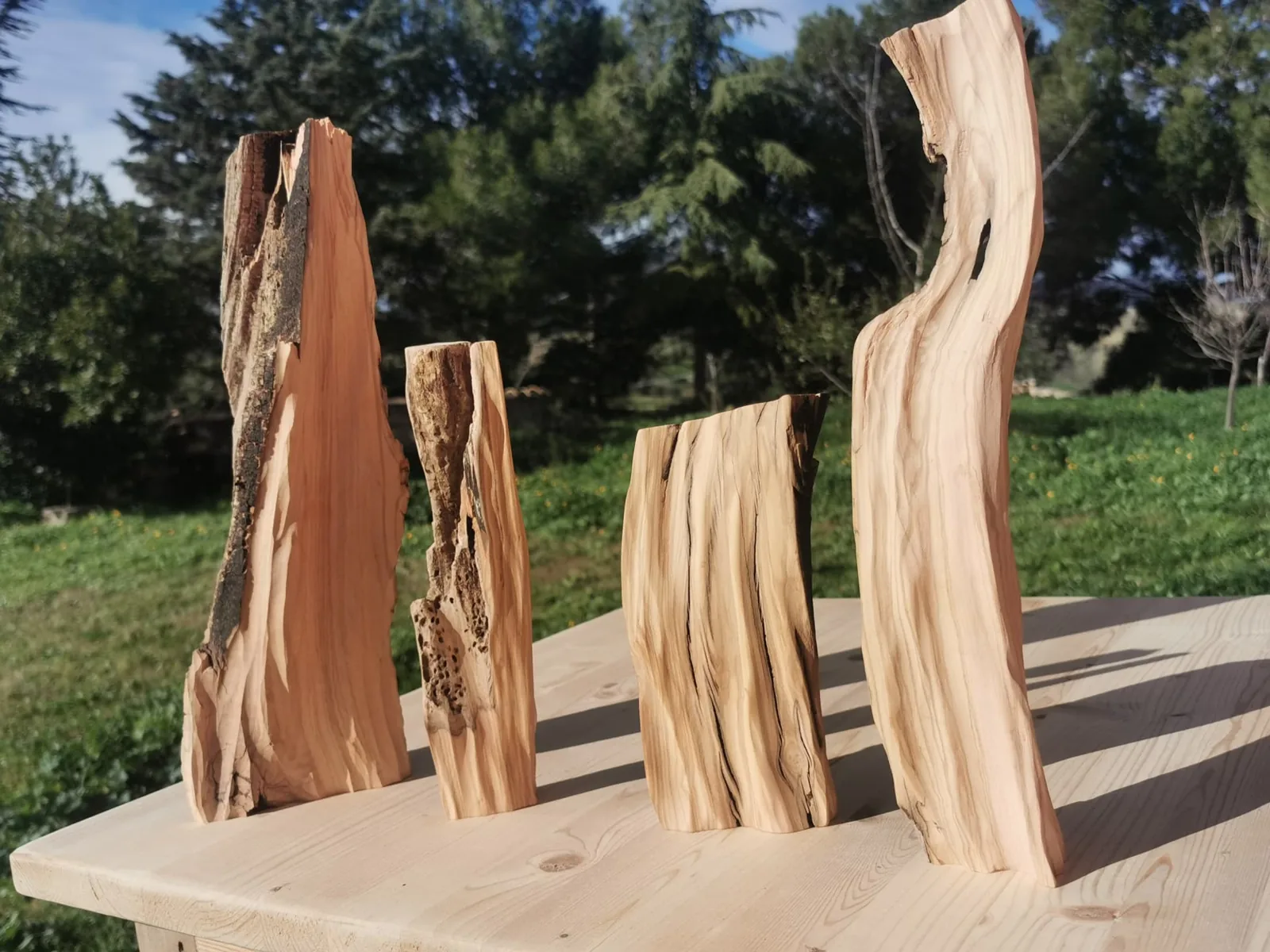 Quattro frammenti di legno sagomati in piedi su un banco da lavoro all'aperto