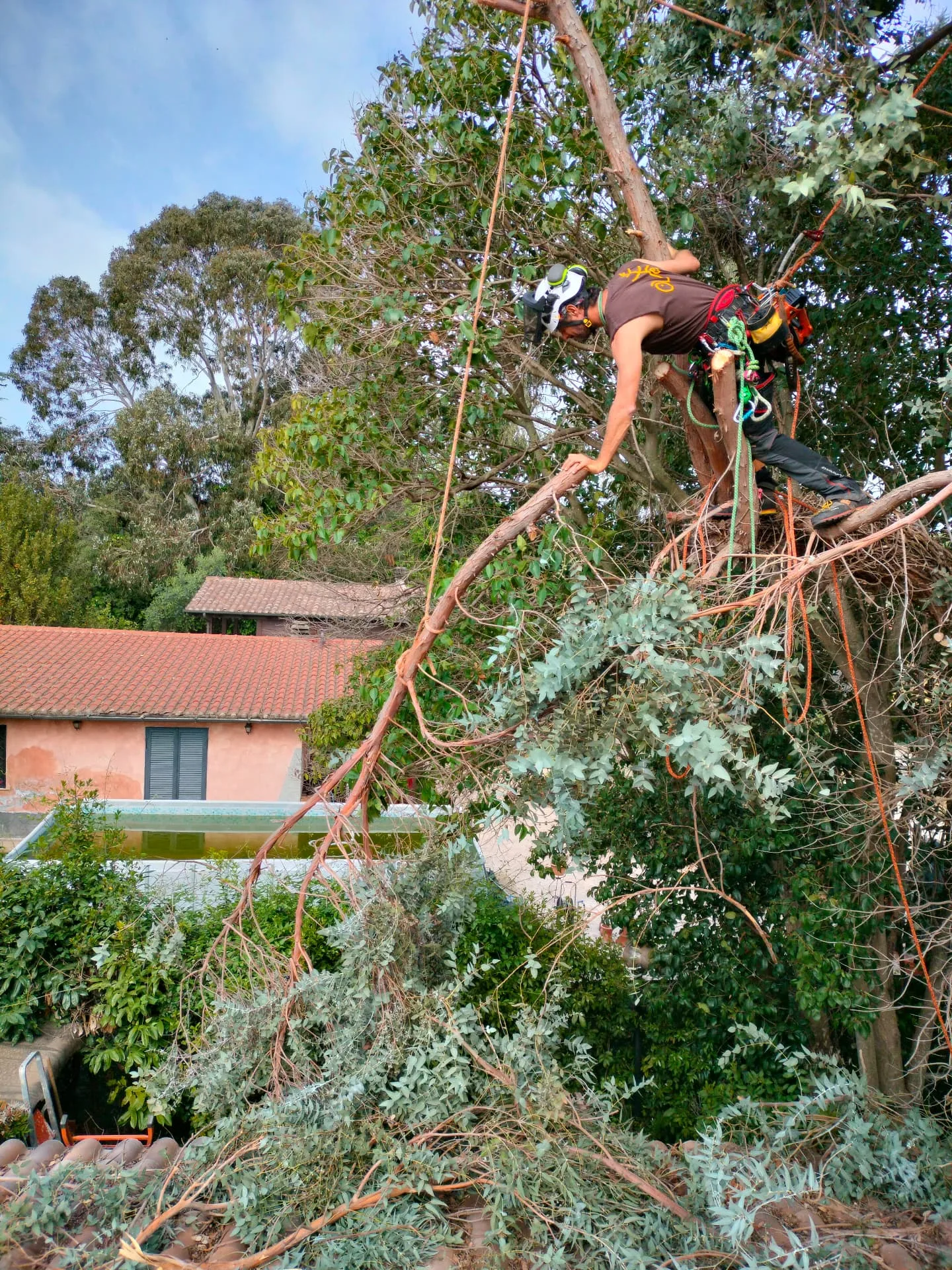 Arboricoltore in quota con un ramo sospeso sopra il tetto in coppi