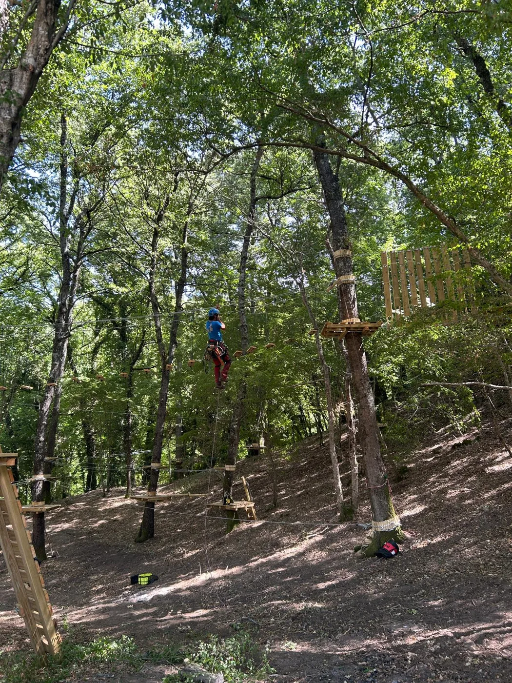 Passerella sospesa tra i cerri del parco