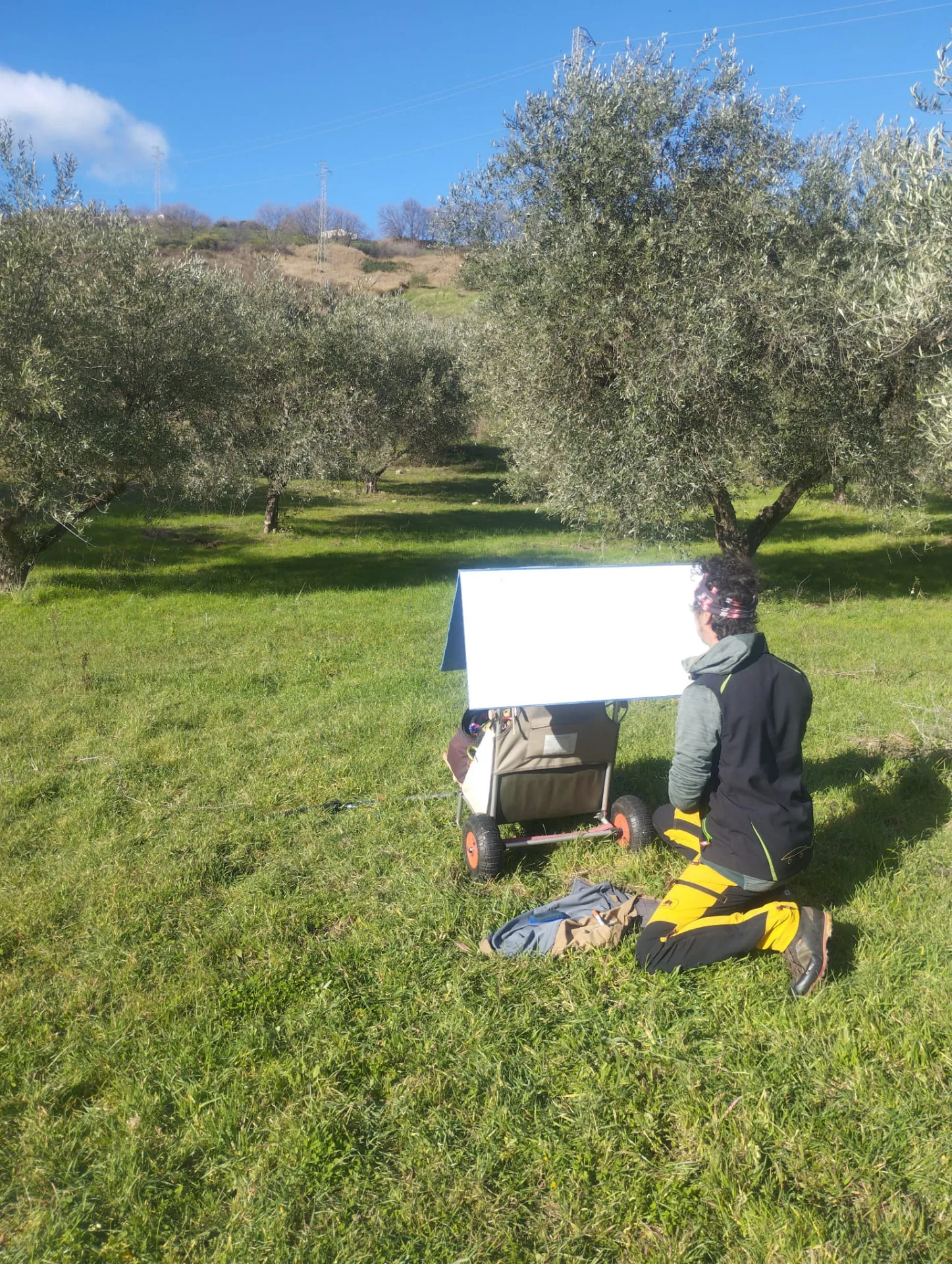 Preparazione in campo tra gli ulivi con lavagna e carrello portamateriali