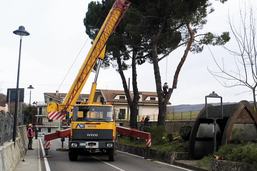 Autogrù su strada con operatore in quota sulla chioma